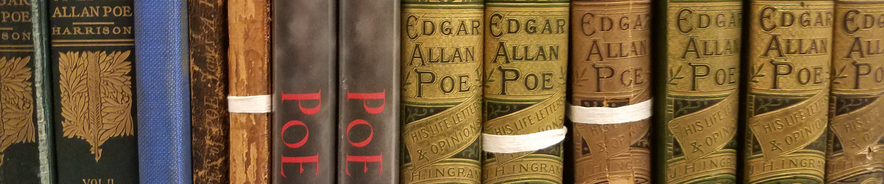 Close up photo of book spines