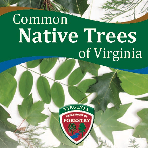 Image shows a green banner at the top that says "Common Native Trees of Virginia" with a background of various tree leaves. The bottom center of the page shows the logo for the Virginia Department of Forestry.