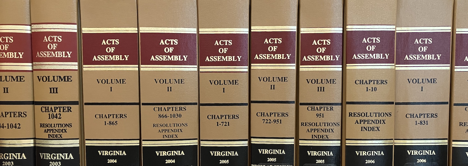 Images shows the spines of ten copies of the Virginia Acts of Assembly.