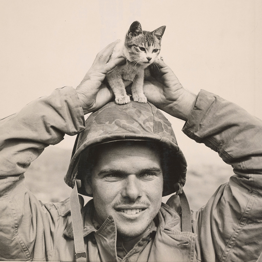 Man in Army uniform holds kitten on top of his helmet
